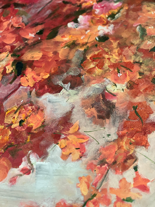 Orange Bougainvilleas