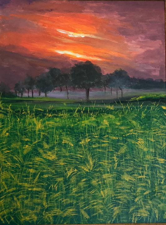 Mustard Fields