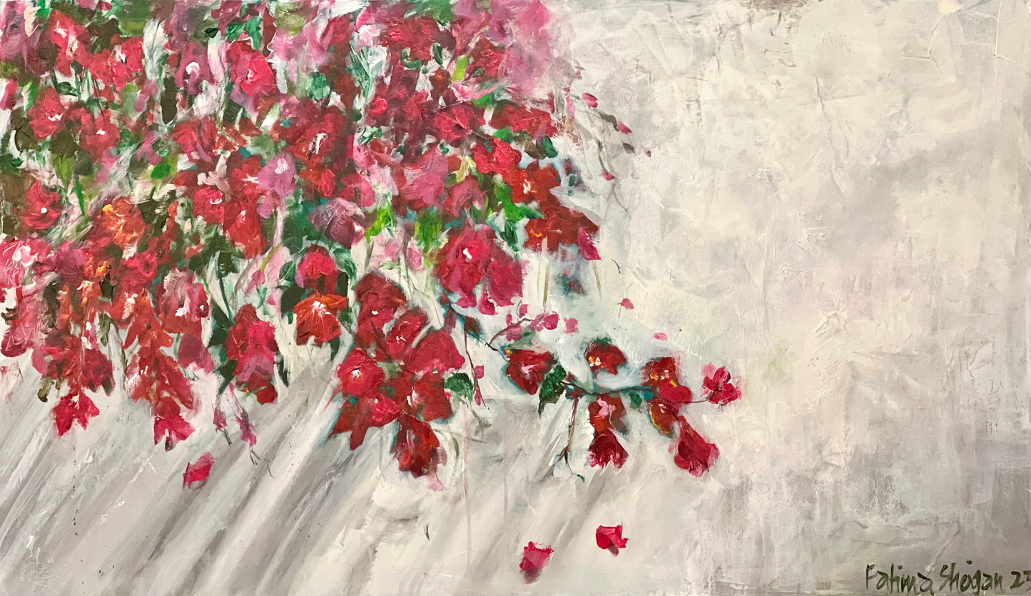 Bougainvilleas