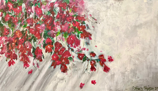 Bougainvilleas