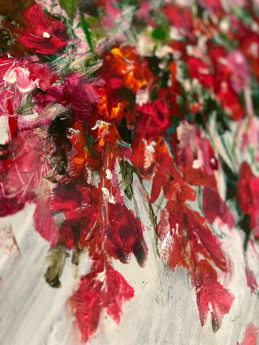 Bougainvilleas