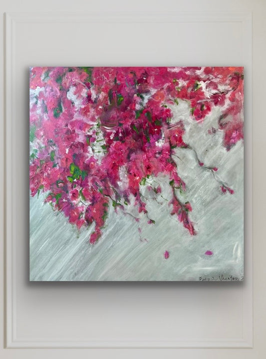 Pink Bougainvilleas