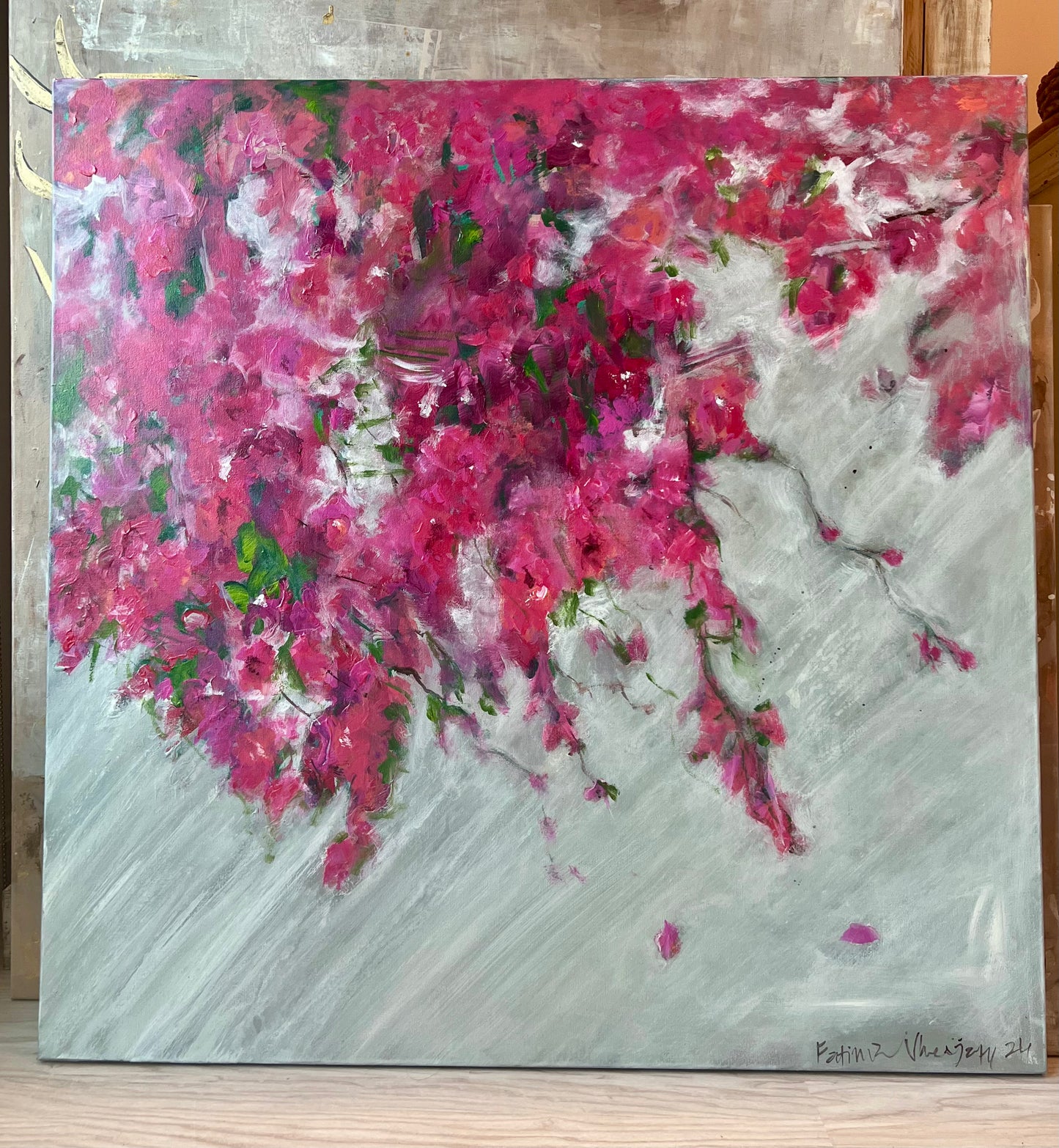 Pink Bougainvilleas