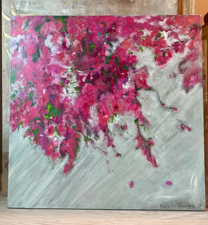 Pink Bougainvilleas