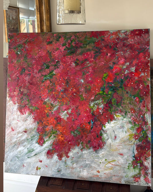 Bougainvilleas