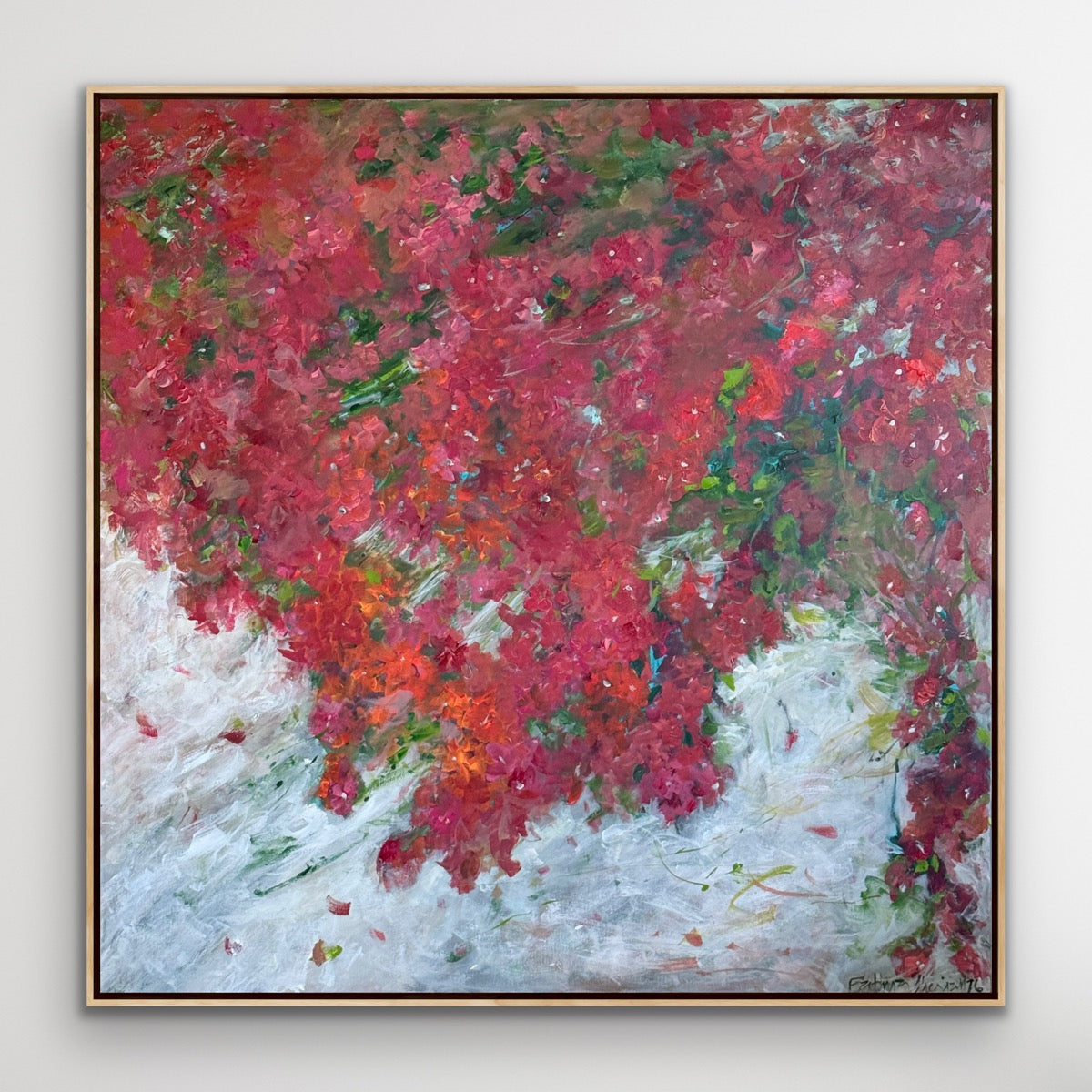 Bougainvilleas