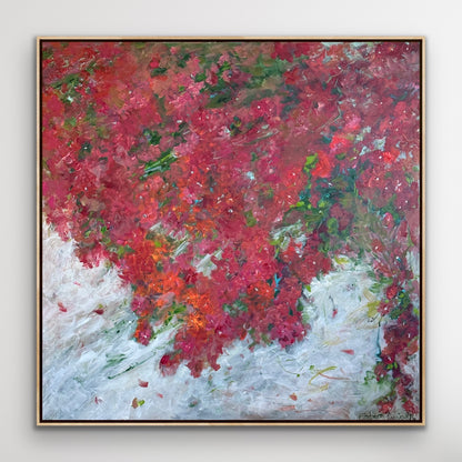 Bougainvilleas